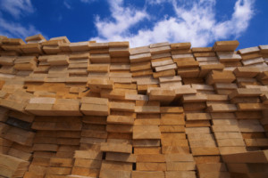 Stack of timber